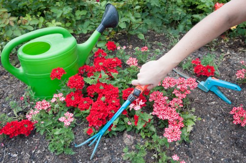 Gardener wearing PPE and using equipment safely while working on a lawn