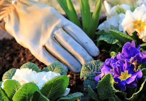 Worker wearing PPE while using gardening machinery