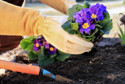 Gardeners Alperton working on landscape design