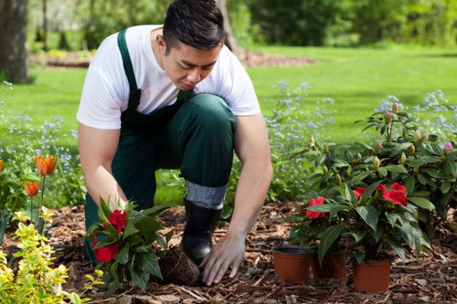 Blooming flowers in a well-maintained Alperton garden