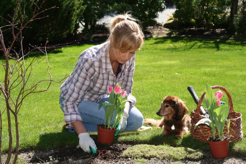 Tools of a gardener in Alperton